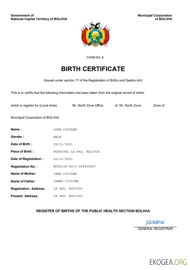 Modèle Word et PDF d'acte de naissance d'acte d'état civil en Bolivie